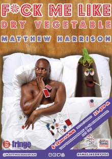 fmelikedryvegposter